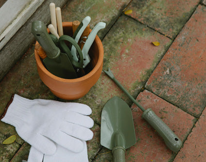 Beginner’s Guide: The 4 Tools You Need to Start Gardening