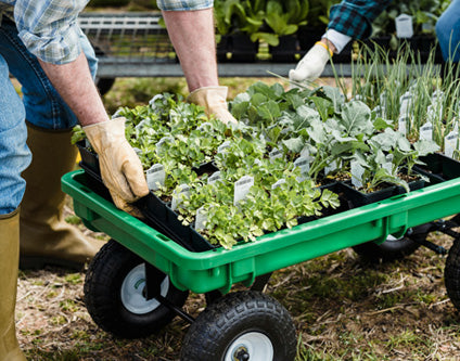 5 Sustainable Gardening Tips (And the Tools to Help You Do It)