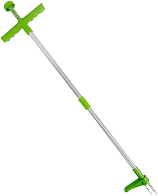 Garden Lawn Root Remover